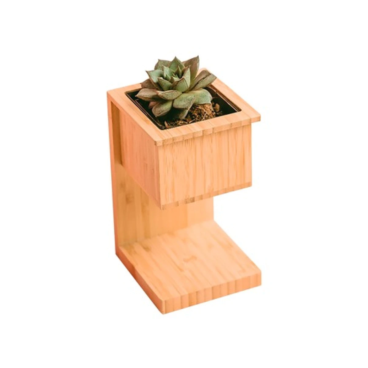 Alder Wireless Charger with Planter